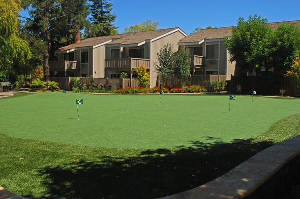 San Francisco backyard putting green